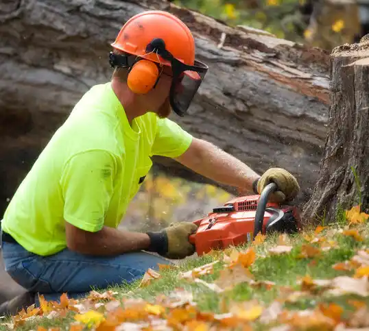 tree services Long Valley